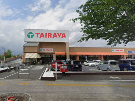 ӊ@X[p[ 300m TAIRAYA {X