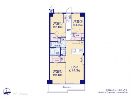 Ԏ}îP}Vj@}ʂƈقȂꍇ͌D