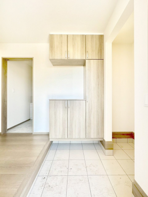 ���ց@�������ꂢ�ɂ��Ă����������ւł��ˁB  