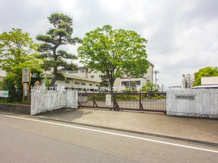 ӊ@wZ 800m zsÒJwZ