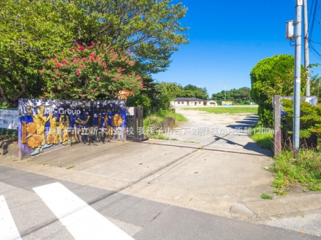 ���ӊ��@���w�Z 1200m �䑷�q�s���V�؏��w�Z