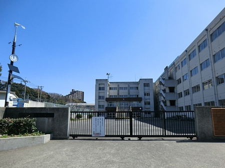 ӊ@X[p[ 500m RfBCC_nX