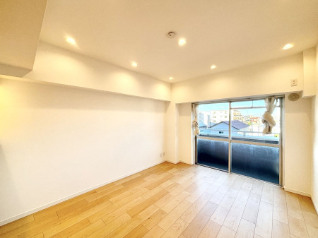 rO@傫ȑ炽Ղ̗zƕ郊rO  