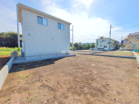 ���n�y�n�ʐ^�@-