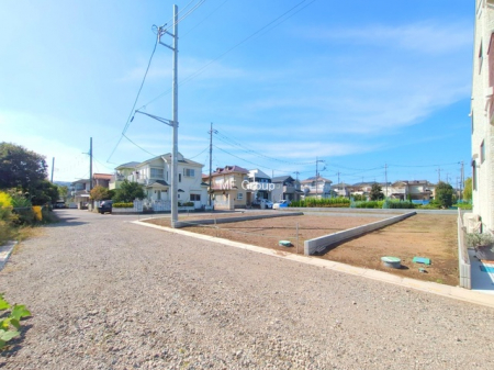 ���n�y�n�ʐ^�@-