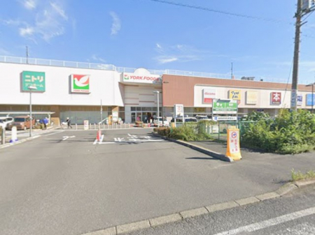 ӊ@hbOXgA 550m }cgLVZu^E񂰂X