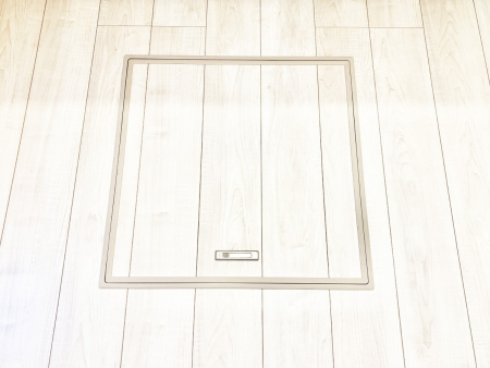 ���̑����ρ@�������[�t���I���p�i�E���p�i�̎��[�ɂ��劈��B