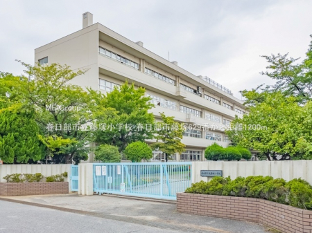 ӊ@wZ 1200m tsˏwZ