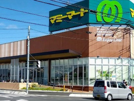 ���ӊ��@�X�[�p�[ 750m �}�~�[�v���X ����t��X