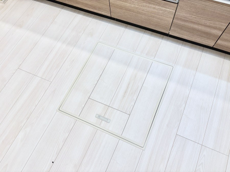 ���̑����ρ@�������[�t���I���p�i�E���p�i�̎��[�ɂ��劈��B