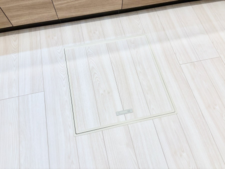 ���̑����ρ@�������[�t���I���p�i�E���p�i�̎��[�ɂ��劈��B