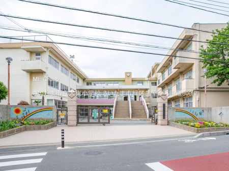 ӊ@wZ 800m ܎s哌wZ