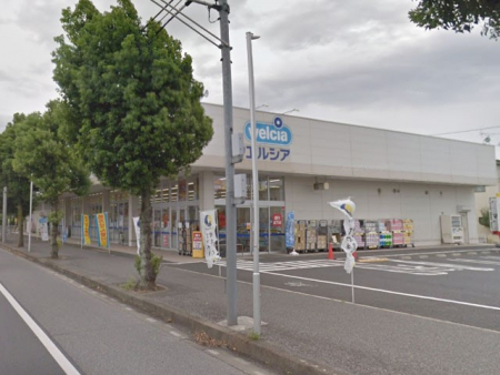 ���ӊ��@�h���b�O�X�g�A 300m �E�G���V�A�䑷�q�ᏼ�X