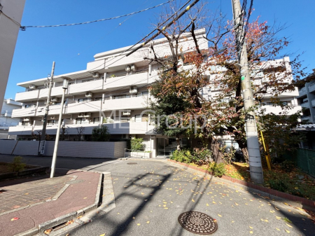 ���n�O�ώʐ^�@����z���ł��Ƒ��̏Ί���P��