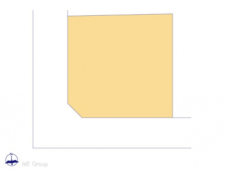 Ԏ}îPˌj@}ʂƈقȂꍇ͌D