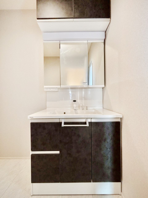 ���ʑ�E���ʏ��@�X�^�C�����O�ɕ֗��ȎO�ʋ��A�~���[�L���r�l�b�g�ōׂ������X�b�L��