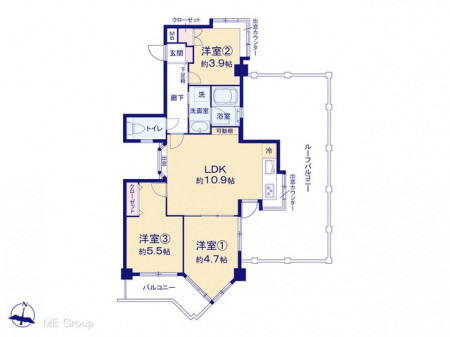 Ԏ}îP}Vj@}ʂƈقȂꍇ͌D