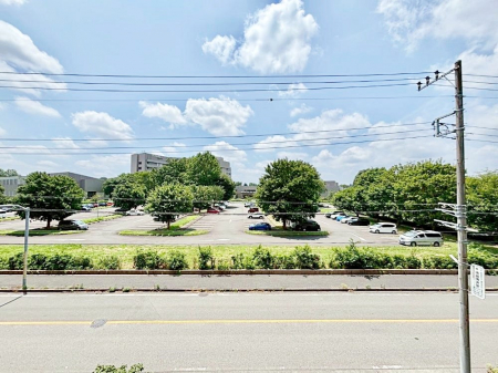 ���̑��@�o���R�j�[����̒��]�ł��B  