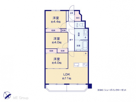 Ԏ}îP}Vj@}ʂƈقȂꍇ͌D