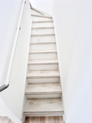 ���̑��@�K�i�͎肷��t���Ȃ̂ŏ����Ȃ��q���܂₲����̕������S�ł�