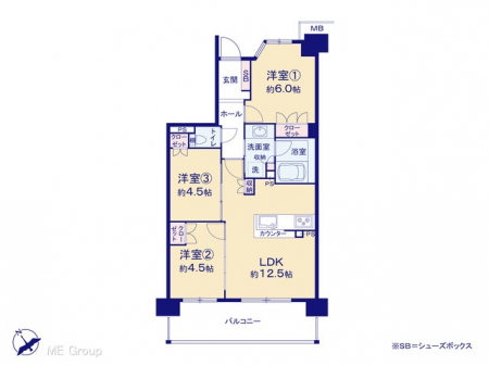 Ԏ}îP}Vj@}ʂƈقȂꍇ͌D