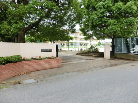 ӊ@wZ 505m ts{쏬wZ