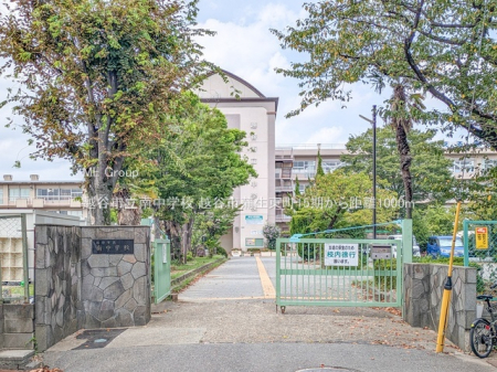 ӊ@wZ 1000m zJs쒆wZ