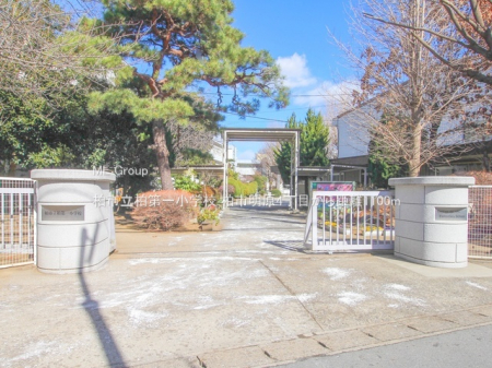 ���ӊ��@���w�Z 1100m ���s������ꏬ�w�Z