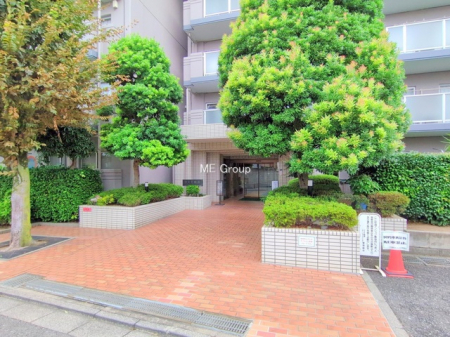 �G���g�����X�@-