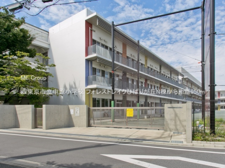 ���ӊ��@���w�Z 950m �������s���������w�Z