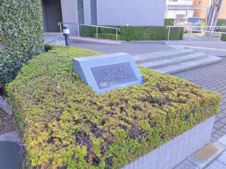 �G���g�����X�@-