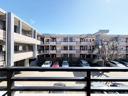 ���̑��@�o���R�j�[����̒��]�ł�