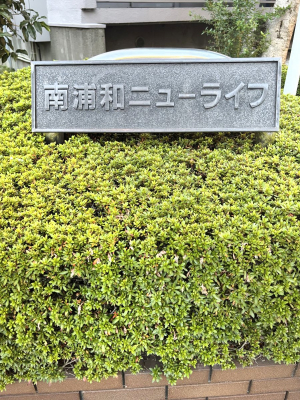 �G���g�����X�@�G���g�����X�ɂ͗Ί�����A�́B�}���V�����ɍʂ�����o���Ă���܂��I