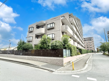 ���n�O�ώʐ^�@��������n�܂�V�����������������܂�