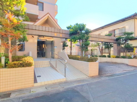 �G���g�����X�@-