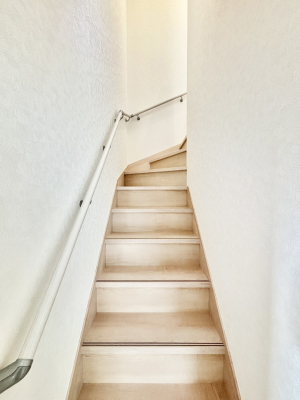 ���̑��@�K�i�͎肷��t���Ȃ̂ŏ����Ȃ��q���܂₲����̕������S�ł�  