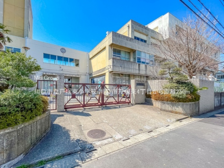 ���ӊ��@���w�Z 250m ����s���˒˓����w�Z