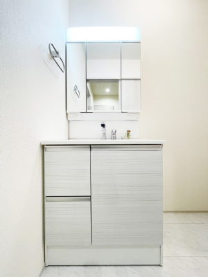 ���ʑ�E���ʏ��@���[�͂Ƌ@�\���ɗD�ꂽ���ʉ��ϑ�