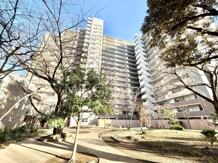 ���n�O�ώʐ^�@����z���ł��Ƒ��̏Ί���P�� 