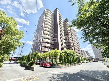 ���n�O�ώʐ^�@����z���ł��Ƒ��̏Ί���P�� 