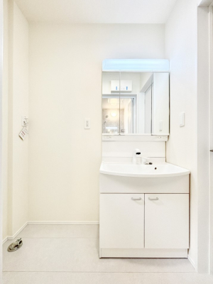 ���ʑ�E���ʏ��@���[�͂Ƌ@�\���ɗD�ꂽ���ʉ��ϑ�