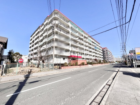 ���n�O�ώʐ^�@��Ƃ肪�Ί�𐶂ސS�n�悢���� 