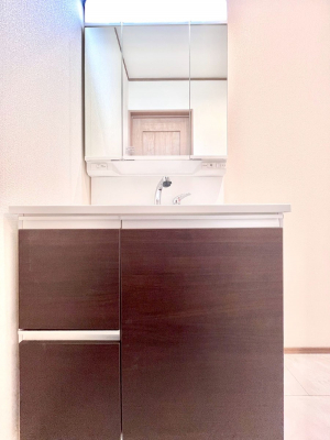 ���ʑ�E���ʏ��@�傫�����₷���O�ʋ��Ő�����������ʑ�́A�g�����Ȃ݃`�F�b�N�┧�̂������ɂ������߂ł��B 