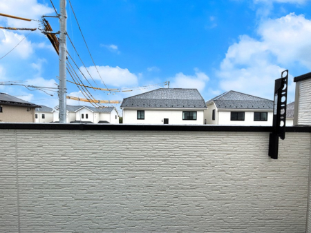 �o���R�j�[�@���ʂ��̗ǂ��o���R�j�[