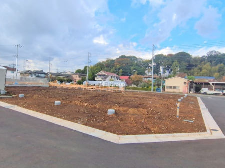 ���n�y�n�ʐ^�@-