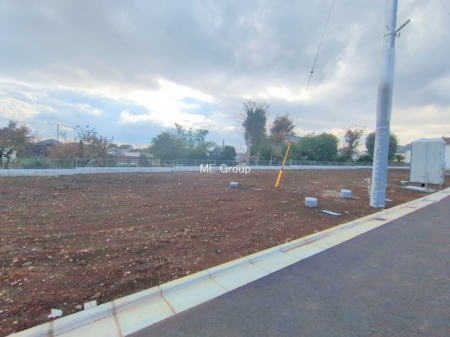 ���n�y�n�ʐ^�@-