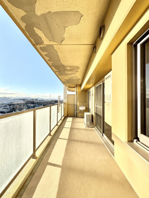 �o���R�j�[�@�S�n�悢���������Ȃ��炨���󕨂����������ł�