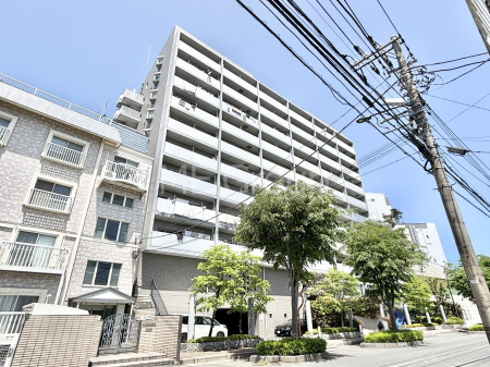 ���n�O�ώʐ^�@����z���ł��Ƒ��̏Ί���P�� 