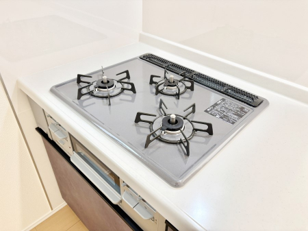 ���̑����ρ@�O���K�X�R�����ł���������C�ɂ͂��ǂ肻��  