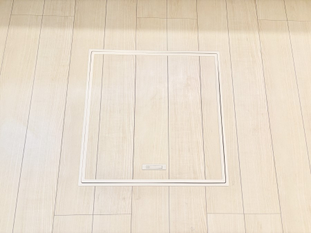 ���̑����ρ@�������[�t���I���p�i�E���p�i�̎��[�ɂ��劈��B